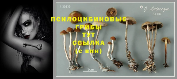 прущая мука Нязепетровск